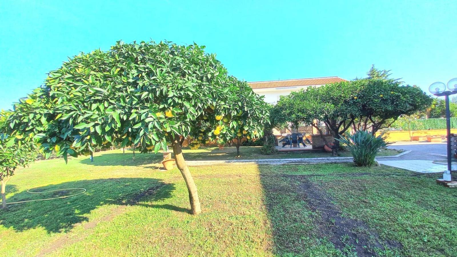 Da Ninnilla Holiday Home Scafati Ngoại thất bức ảnh